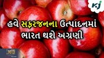 સફરજનને આયાત નહીં નિર્યાત કરશે ભારત, આ તકનીકથી ભારત બનશે સૌથા મોટો ઉત્પાદક